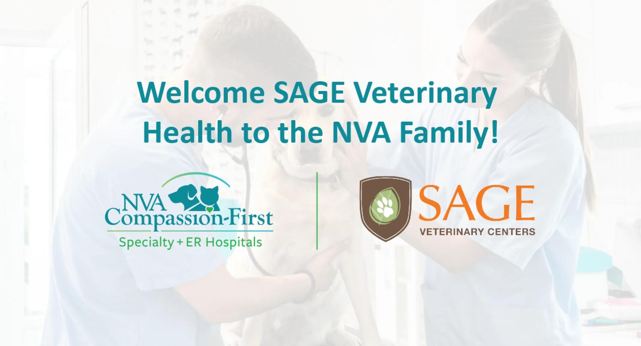 Sage online pet emergency